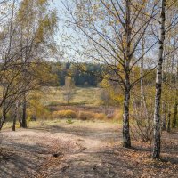 Палитра октября... :: Владимир Жданов