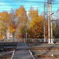 Железнодорожный переход :: Сергей Кочнев