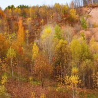 Осенний пейзаж. :: Наталья Тагирова