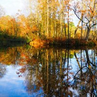 Зеркальное отражение (репортаж из поездок по области). :: Милешкин Владимир Алексеевич 