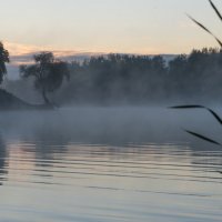 Туман. :: Владимир Безбородов