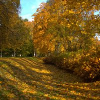 Золотая осень в парке :: Танзиля Завьялова