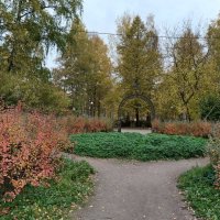 Разноцветный октябрь :: Мария Васильева