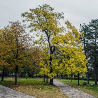 Тишина осени :: Владимир Жуков