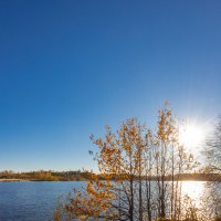 Осеннее солнце на озере :: Александр Синдерёв