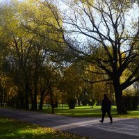 Длинная дорожка. :: Василий Палий