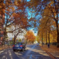 Осенние улицы Санкт Петербурга. :: Лилия *