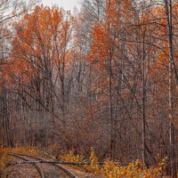 осень на железной дороге :: Дмитрий 