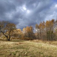 утро в осеннем лесу :: Валентина. .