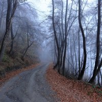 Горная Ингушетия. Туман. :: Александр Николаев