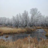 Туман и мороз в октябре :: Валентина Богатко 