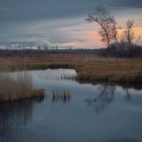 Вечер на Уйбате. :: Николай Привалов