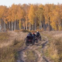 В осенний лес. :: Андрей Андрианов