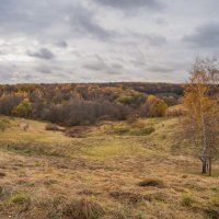 Октябрь в Царицыно... :: Владимир Жданов