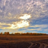 Рано спускаются сумерки в ноябре. :: Восковых Анна Васильевна 