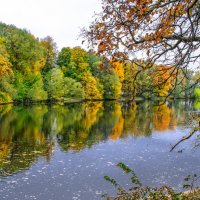 Осень в парке Елагино :: Георгий А