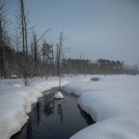 р. Кузель :: Александр 