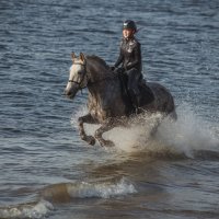 Скачки на воде :: Елена Логачева