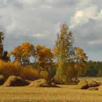 На арене-Осень ! :: nadyasilyuk Вознюк