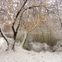 Заснеженный берег озера :: Андрей Снегерёв