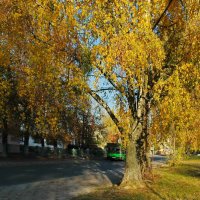 Осень в городе :: Елена Пономарева