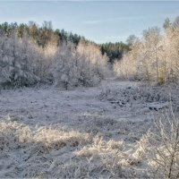 Ноябрь. Первый снег. :: Александр Максимов