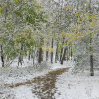 первый снег :: Лера 