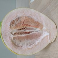 Pomelo. :: Злая Фурия 