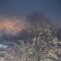 Первый снег в первых лучах солнца ... :: Сергей Литвинов