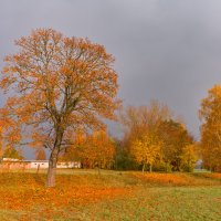 Золотая осень :: Александр Мезенцев