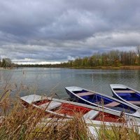 Мне так интересно, о чём ты молчишь, Осенняя, чуткая, робкая тишь,... :: Галина 