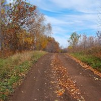 Вспоминая дороги октября... :: Андрей Заломленков