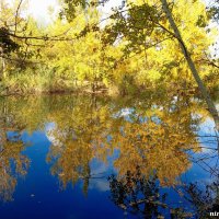 Ростовский экопарк :: Нина Бутко