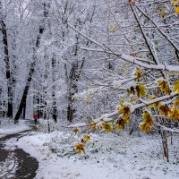 Зимняя зарисовка :: Георгий А