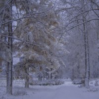 Ноябрь снег ул Гагарина - мой город ИЖЕВСК :: Владимир Максимов