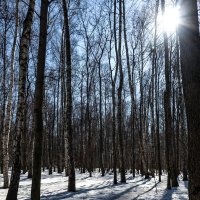 В Измайловском парке :: Мария Демина