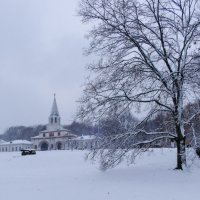 Бедная собака замерзла :: Георгий А