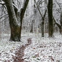 И всё - таки снег был. :: Милешкин Владимир Алексеевич 