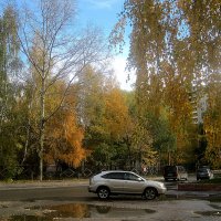 Осень в моем городе :: Елена Семигина