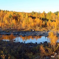 В осенних красках :: Ольга 