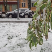 Ноябрь в Городе :: юрий поляков