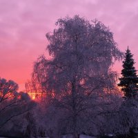 Зимний пейзаж :: Наталья Тагирова