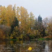 Осень :: Сергей Кочнев