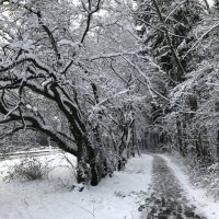 В городе тоже есть Красота!) :: Любовь 