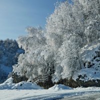 Кавказская осень..... :: Юрий Цыплятников