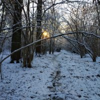 Предзимье :: Андрей Лукьянов