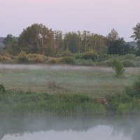 Летнее утро :: Любовь Сахарова