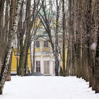 И падал снег в усадьбе  Братцево,,, :: Анатолий Колосов