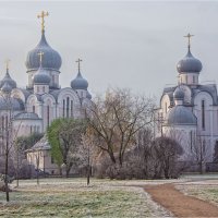 Храмовый комплекс на Пискарёвском проспекте. :: Александр Максимов