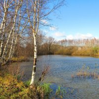 Пожарный водоём :: Андрей Снегерёв